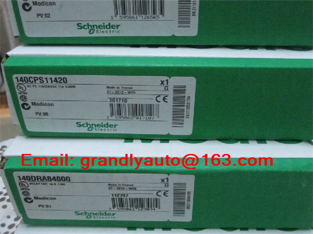 Schneider PLC Analog Input Module 170AAI14000 - Buy at Grandly Automation